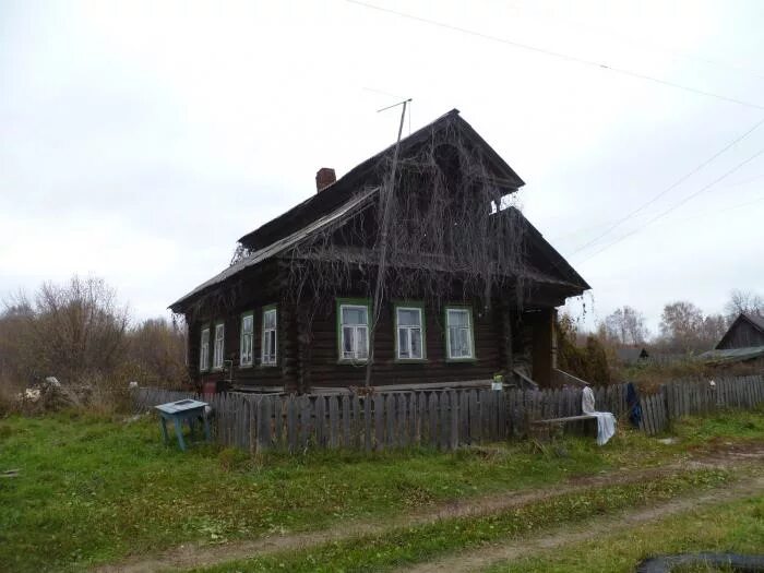 Реалити сокольское. Деревня Таратыщево Сокольский район. Таратыщево Сокольский район Нижегородская область. Деревня Таратыщево Сокольский район Нижегородская область. Деревня Селянцево Сокольский район Нижегородская область.