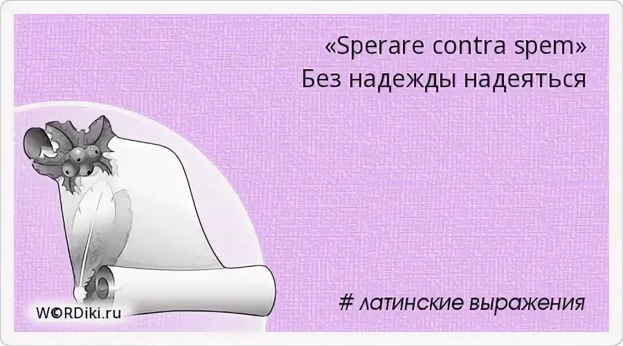 Без надежды надейся на латыни. Без надежды надеюсь. Без надежды надеюсь на латыни. Надеяться на латыни