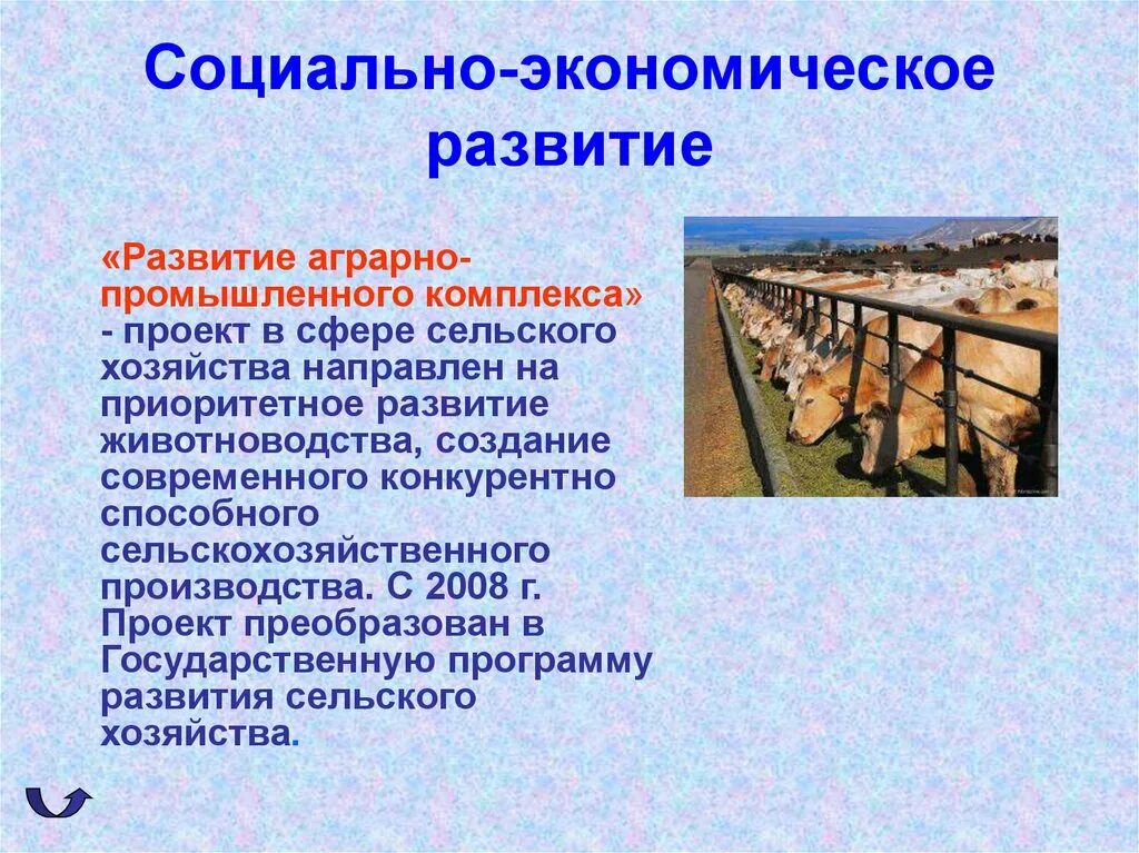 Основа производства россии. Социально-экономическое развитие. Проект сельское хозяйство. Соц экономическое развитие. Презентация на тему сельское хозяйство.