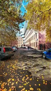 Институт лицевой хирургии москва
