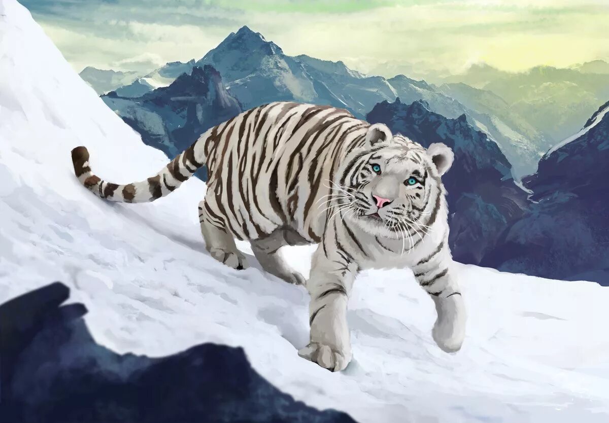 Sky tiger