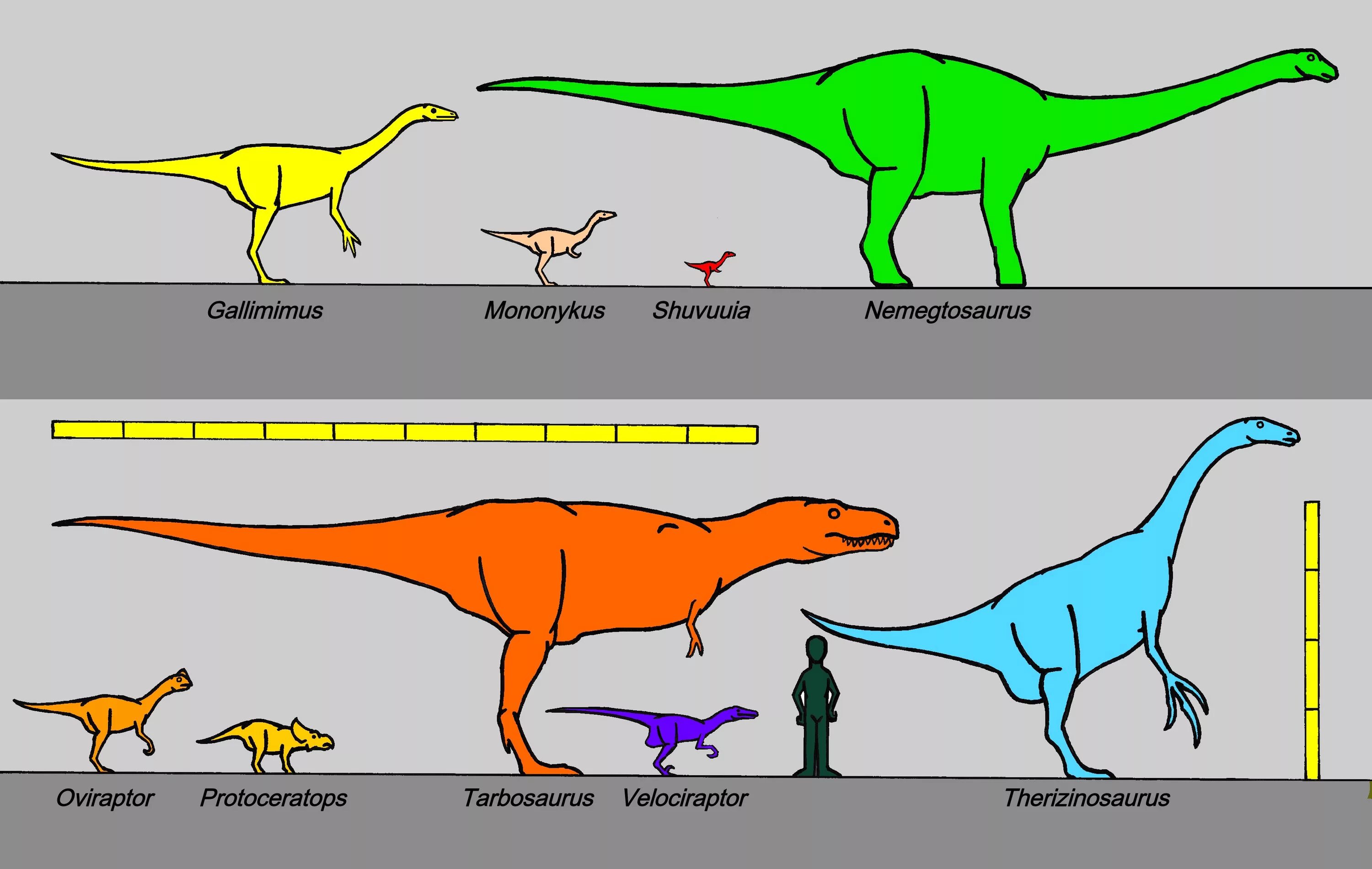 Сравнение динозавров. Диплодок Велоцираптор. Лимузавр по сравнению с человеком. Дриозавр по сравнению с человеком. Размеры динозавров в сравнении с человеком.