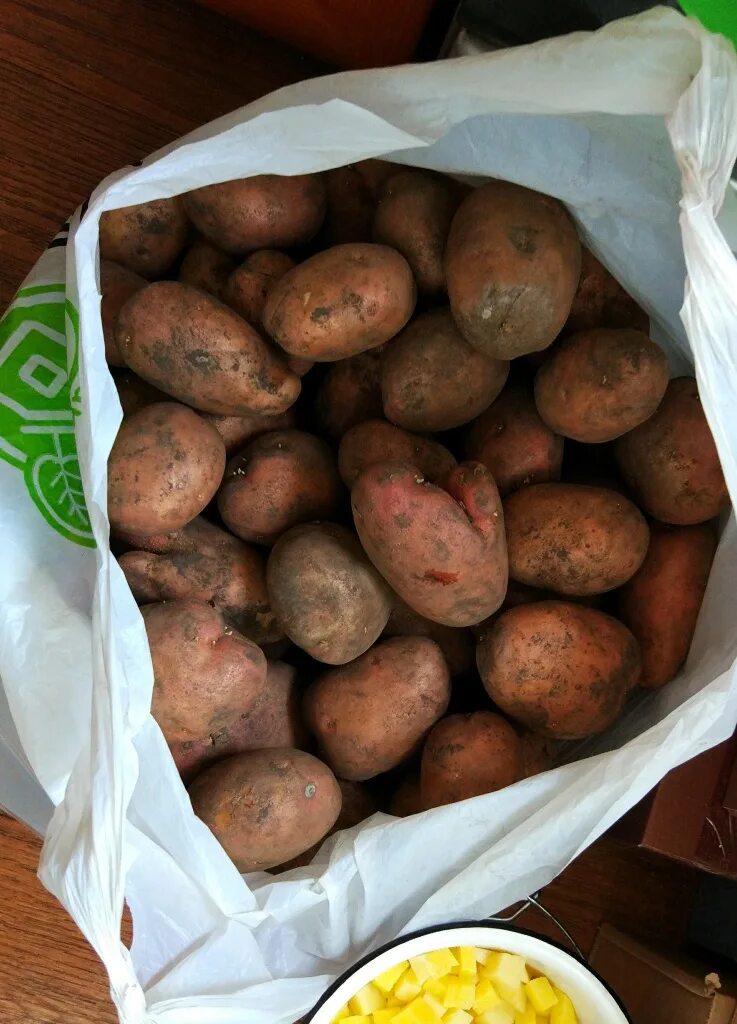 10 килограмм картошки. Картофель в мешках. Тамбовский картофель. 10 Кг картофеля. Картофель сетка 10 кг.