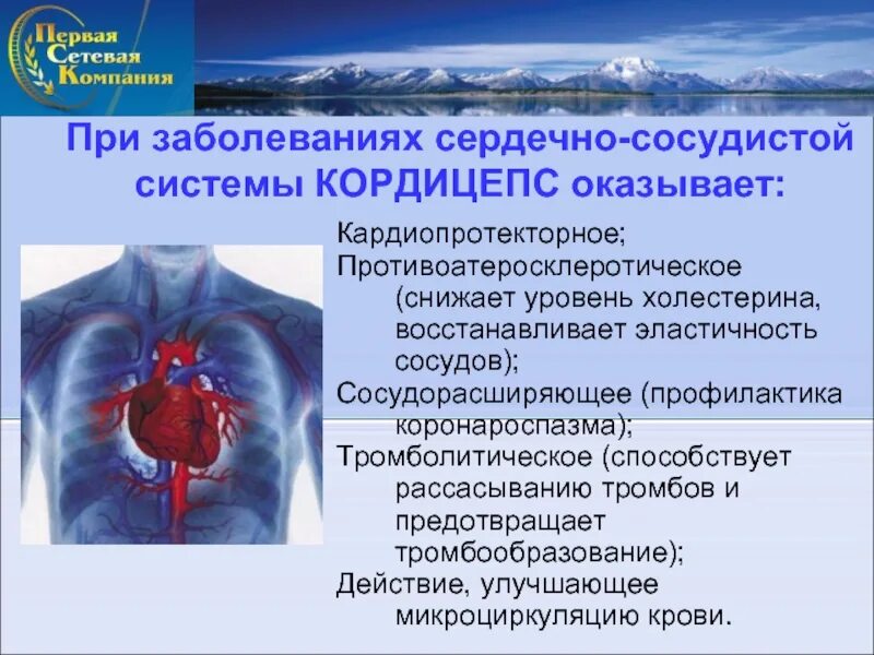 Заболевания сердечной системы. Заболевания сердечно-сосудистой системы. Заболевания при сердечно сосудистой системе. Заболевание серлечнососудистрй системы. Доклад про заболевания сердечно сосудистой системы.