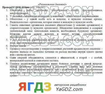 Стр 160