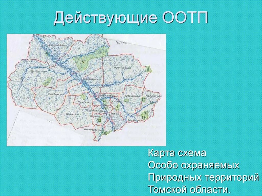 Заказники Томской области. Заповедники Томской области на карте. Природные заповедники Томска. Природные зоны Томской области. Томская область википедия