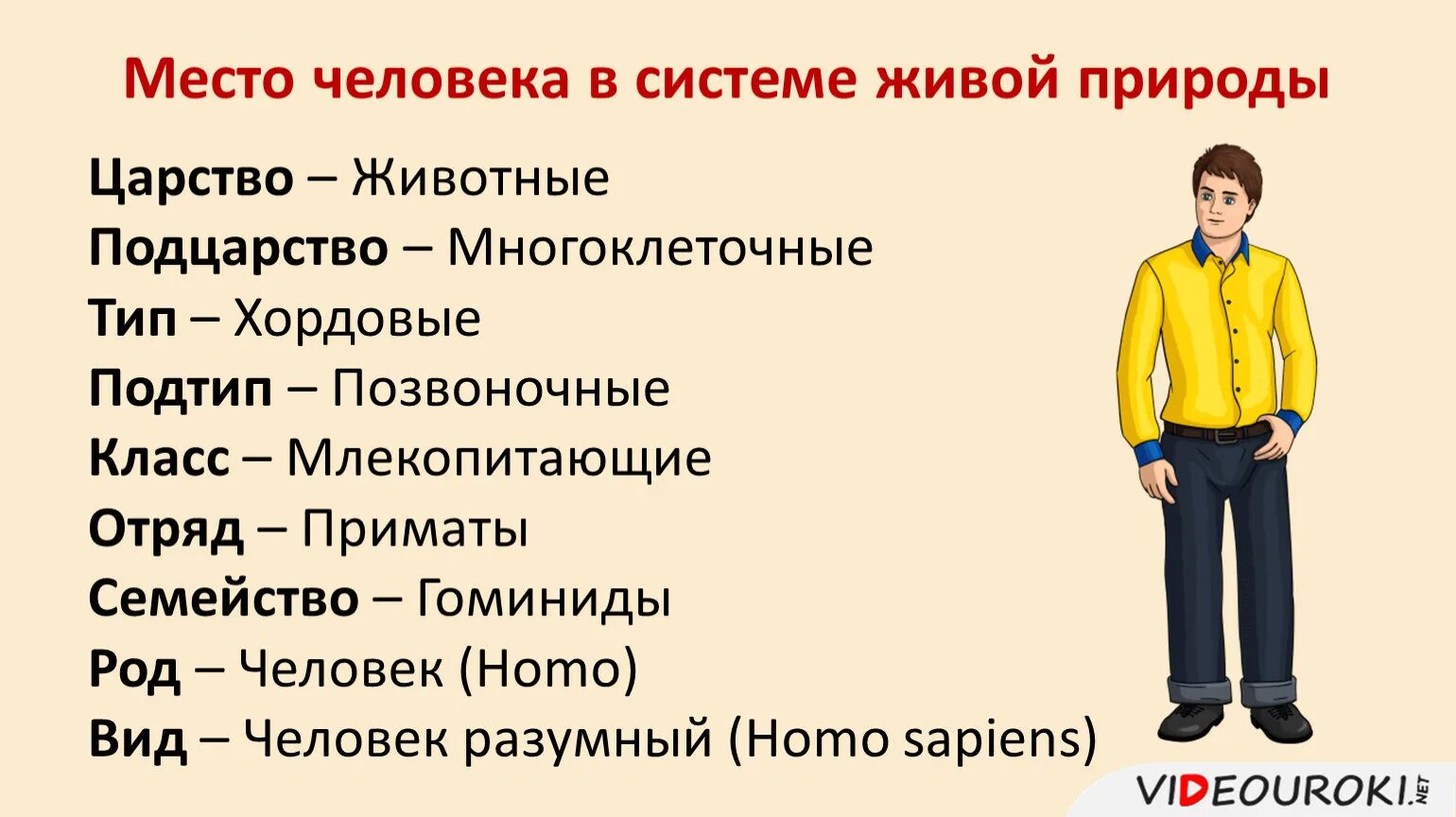 Человек часть биология. Место человека в живой природе. Человек в системе живой природы. Место человека в системе природы.