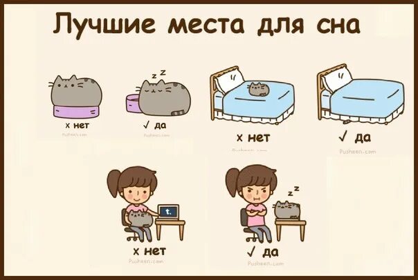 15 причин быть одному. Причины быть котом. идеи для личного дневника сон. идеи для лд прикольные. идеи для лд 6 причин быть котом.