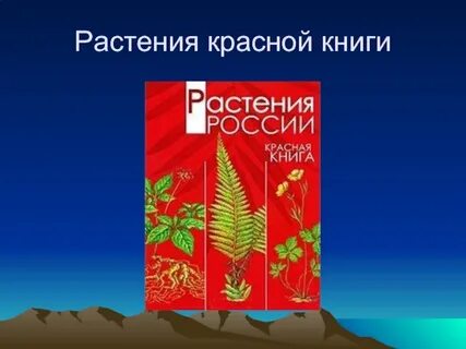 Красные книги районов