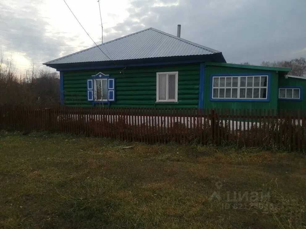 Букреево плесо. Букреево плесо новосибирская область. букреево плесо кочковский район. букреево плесо кочковский район новосибирск. букреево плесо кочковский район зеленая 9.