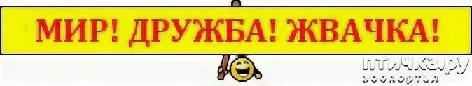 Мир дружба жвачка библиотекарша. Мир дружба жвачка рисунок. Мир дружба жвачка постер. Мир дружба жвачка выражение. Мир дружба жвачка трейлер.