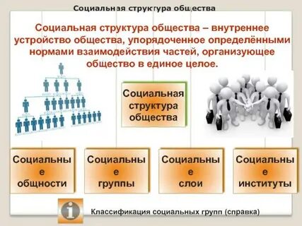 Распределение социальных групп в обществе