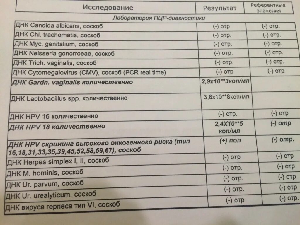 ВПЧ 18 Тип количественный показатель 6.8. ВПЧ 4.18 показатель. HPV 35 вирус папилломы ПЦР норма. ВПЧ ПЦР анализ 16,18,31,33,35,39,45,51,52,56,58,59.