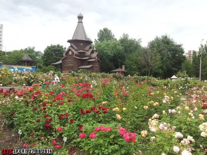 мир увлечений отрадное