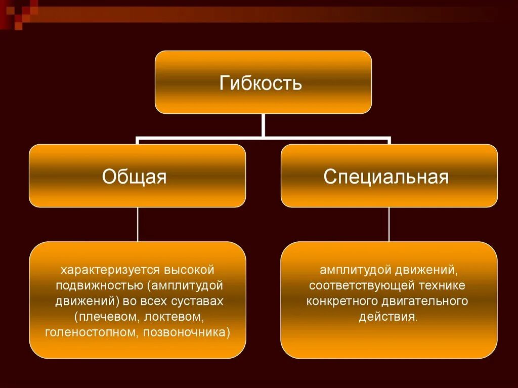 Как называется гибкость характеризующаяся амплитудой движений. Общая и специальная гибкость. гибкость характеризуется. общая гибкость и специальная гибкость. характеристика гибкости.