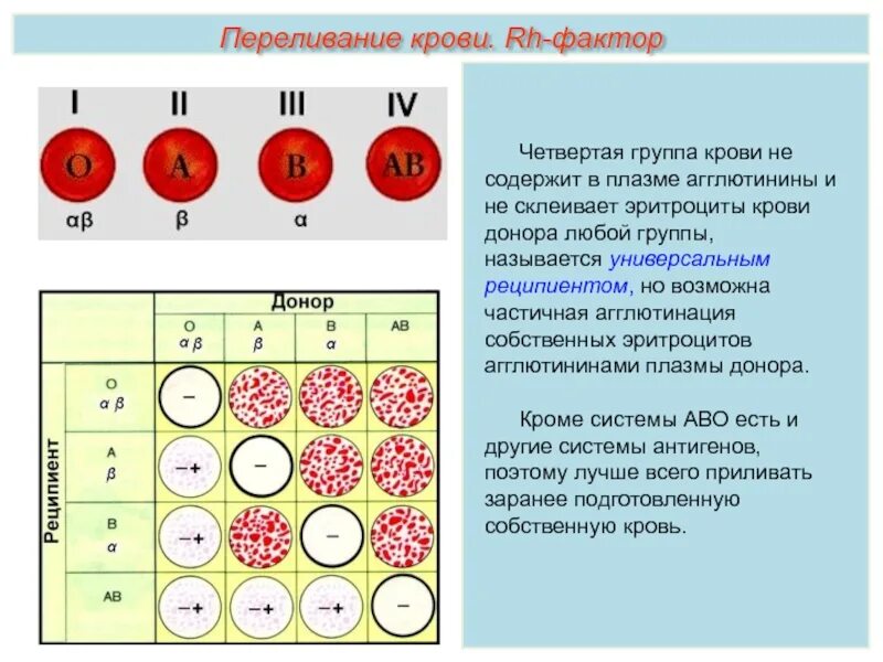 Резус отрицательный эритроцит. Группы крови анатомия. в системе резус-фактор в плазме крови агглютинины. группы крови 2 + 4 группа. антитела плазмы 1 группы крови.