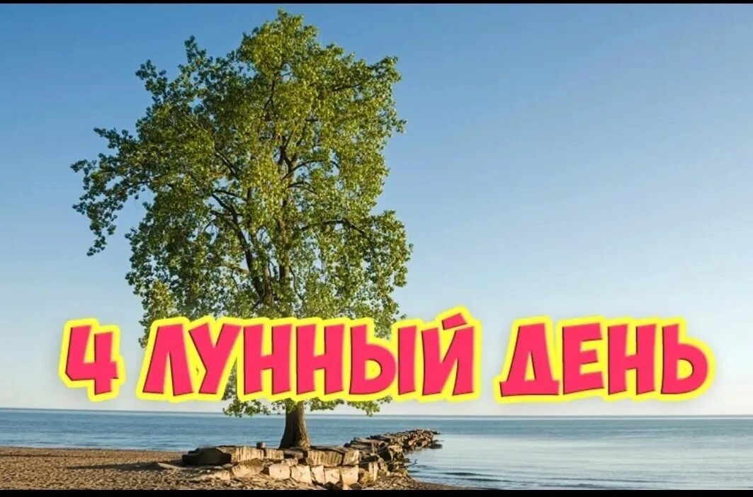 4 лунный день картинки. Первая четверть луны. 04 лунный день. 04 лунный день. 4 лунный день.