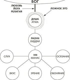 Схема ego