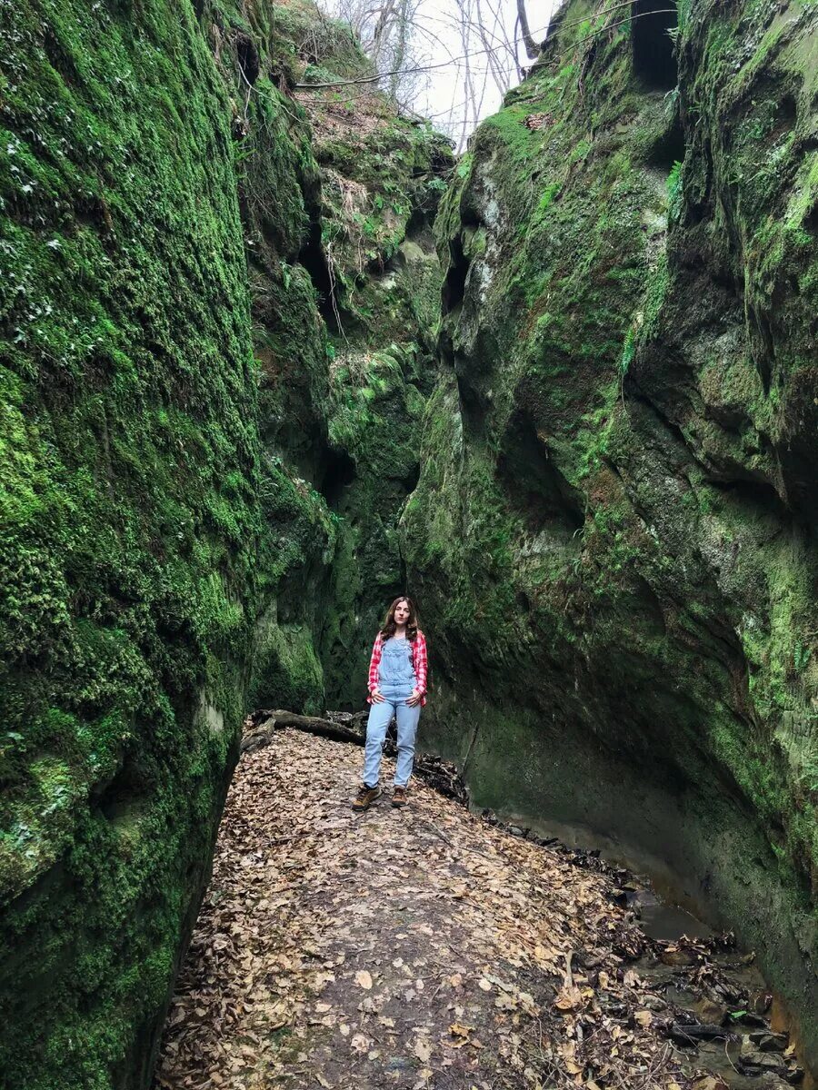 Волчьи ворота чечня. Медвежьи ворота чибий. Волчьи ворота краснодарский край северский район. Медвежьи ворота ворота чибий. Урочище волчьи ворота краснодарский край горячий ключ.