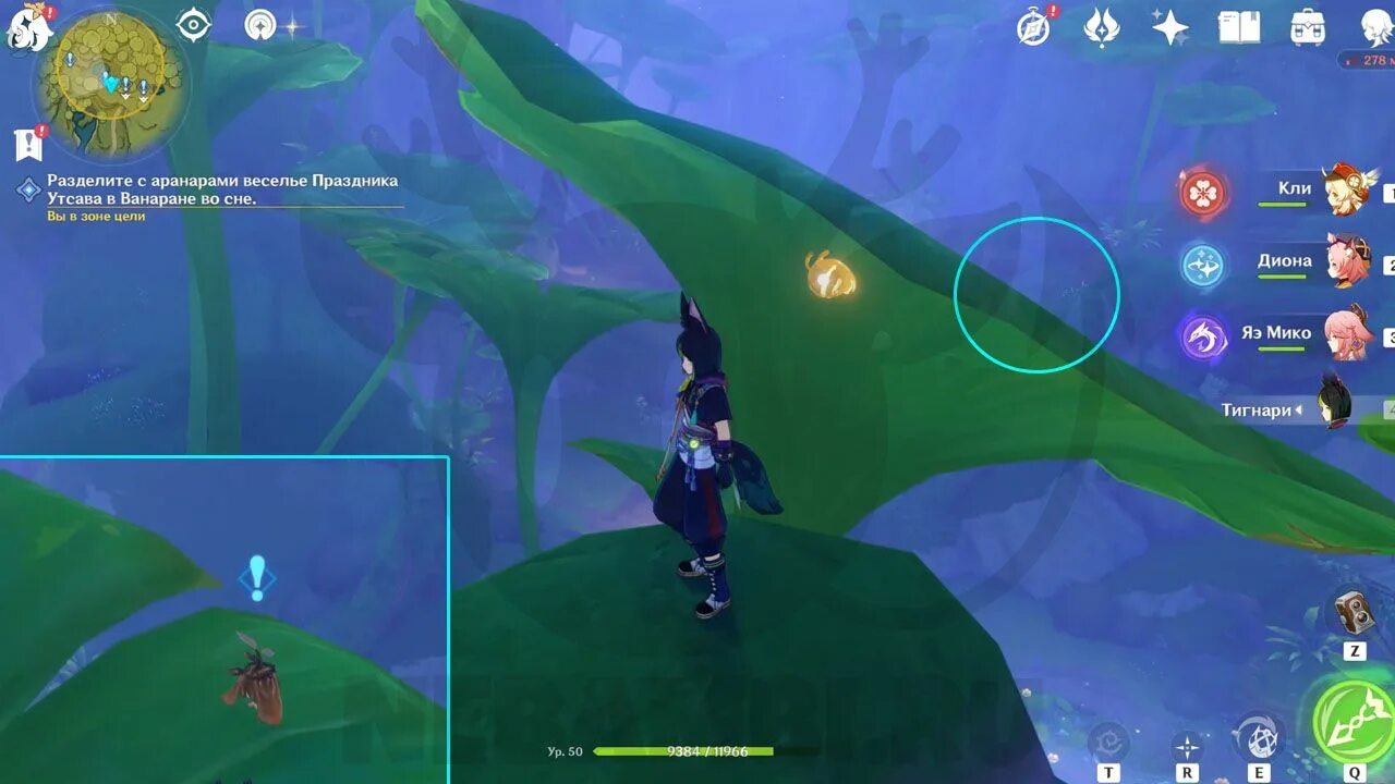 Собрать всех аранар. Лес авидья геншин. Семена грез. Озорной аранара. Аранар геншин импакт.
