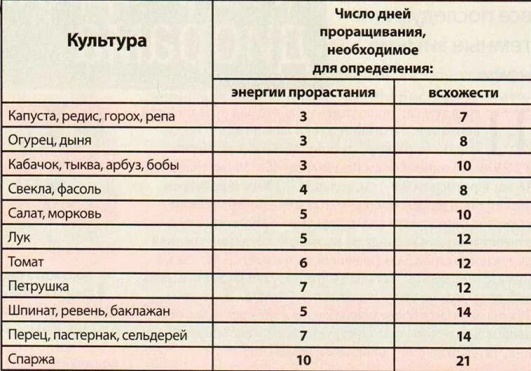 Сколько дней прорастают семена помидор. Сроки прорастания огурцов. Сроки всхожести семян огурцов на рассаду. Срок всхода семян томатов на рассаду. Срок прорастания семян огурца.