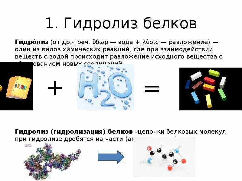 Гидролиз белков схема. При гидролизе белков происходит. Химические свойства белков химия. Гидролиз белка происходит.