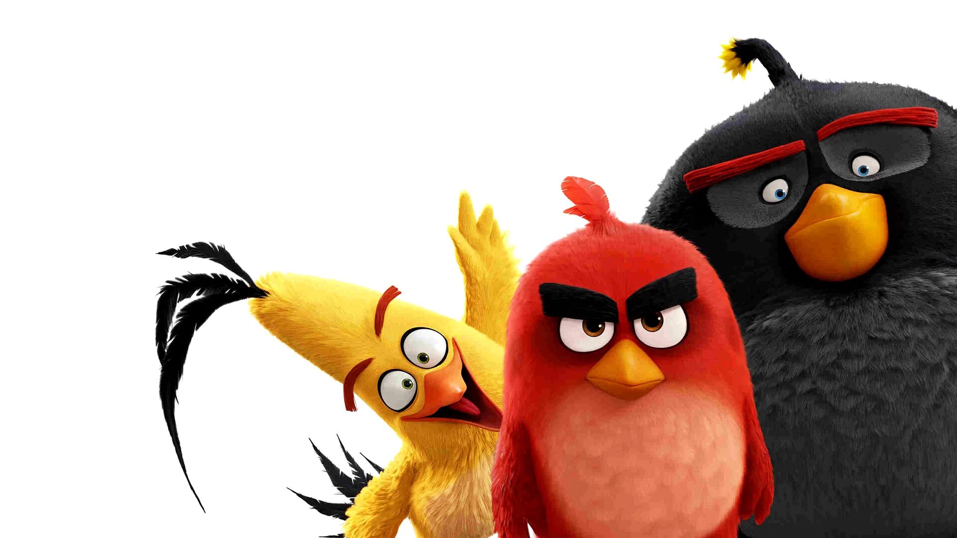 Angry birds 3d. Герои мультика Энгри бердз. Энгри бердз злые птички.