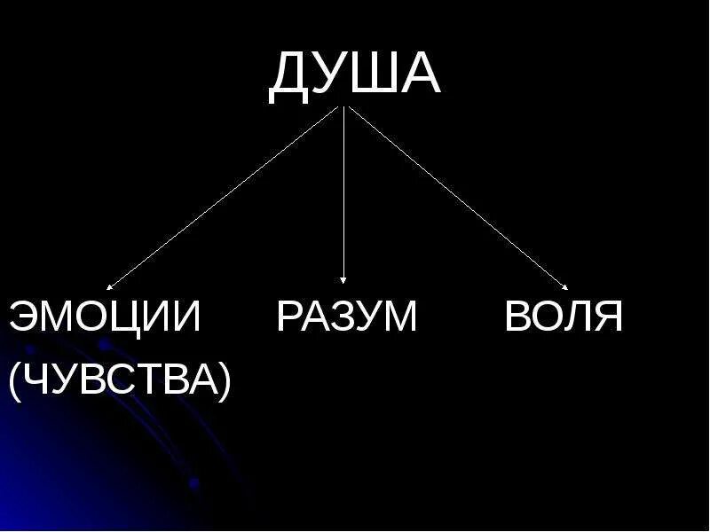 Душа воля чувства