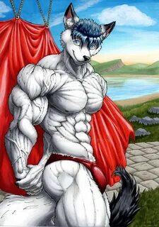 Fury muscle 18