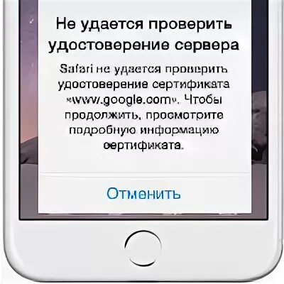 Не удалось проверить статус. Сертификат на айфон. Сертификаты в настройках айфон.