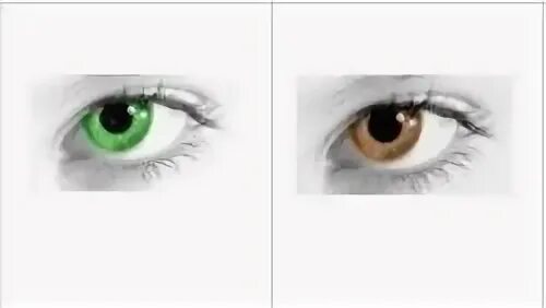 Папа карие глаза мама зеленые. Если у родителей карие глаза какие будут у ребенка. Карие и зеленые глаза какие будут у ребенка. Карие и голубые глаза какие будут у ребенка. Серые и карие глаза какие будут у ребенка.