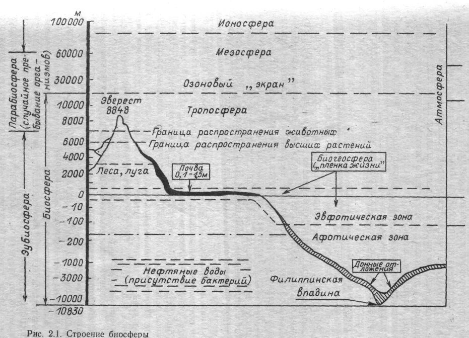 Воды нижняя граница. Строение биосферы по н.ф. Реймерсу. Общая структура биосферы по Реймерсу. Строение биосферы схема. Биосфера строение и границы.