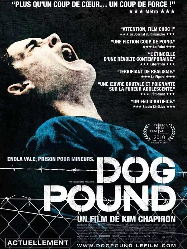 Doggy pound. Dog pound. Doggy pound. Doggy pound. Загон для собак 2009.