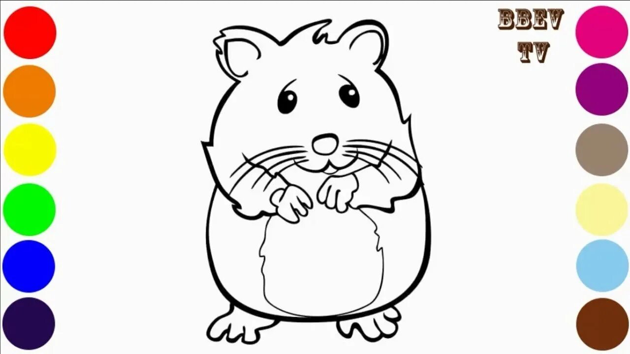 мои первые раскраски. задания на тему хомячок. раскраски для девочек хомячки. хомяк задания карточки. карточки в хомяке.