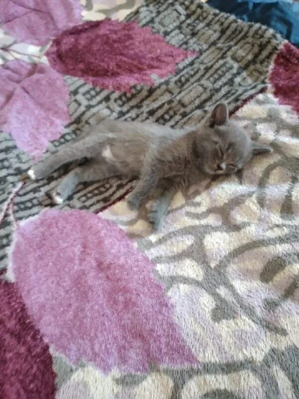 дари добро сухой