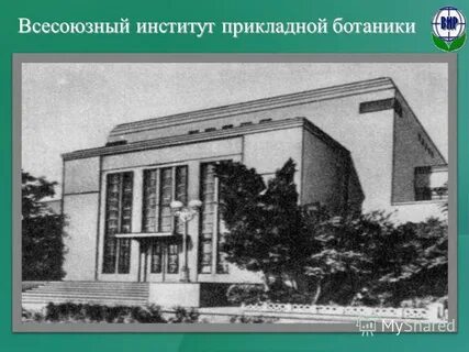Всесоюзный институт