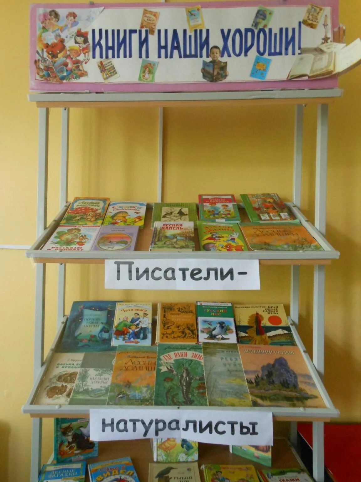 Рассказы писателей натуралистов родного края. Книги писателей натуралистов. книжная выставка писатели натуралисты. выставка писателей натуралистов. название выставки о писателях натуралистах.