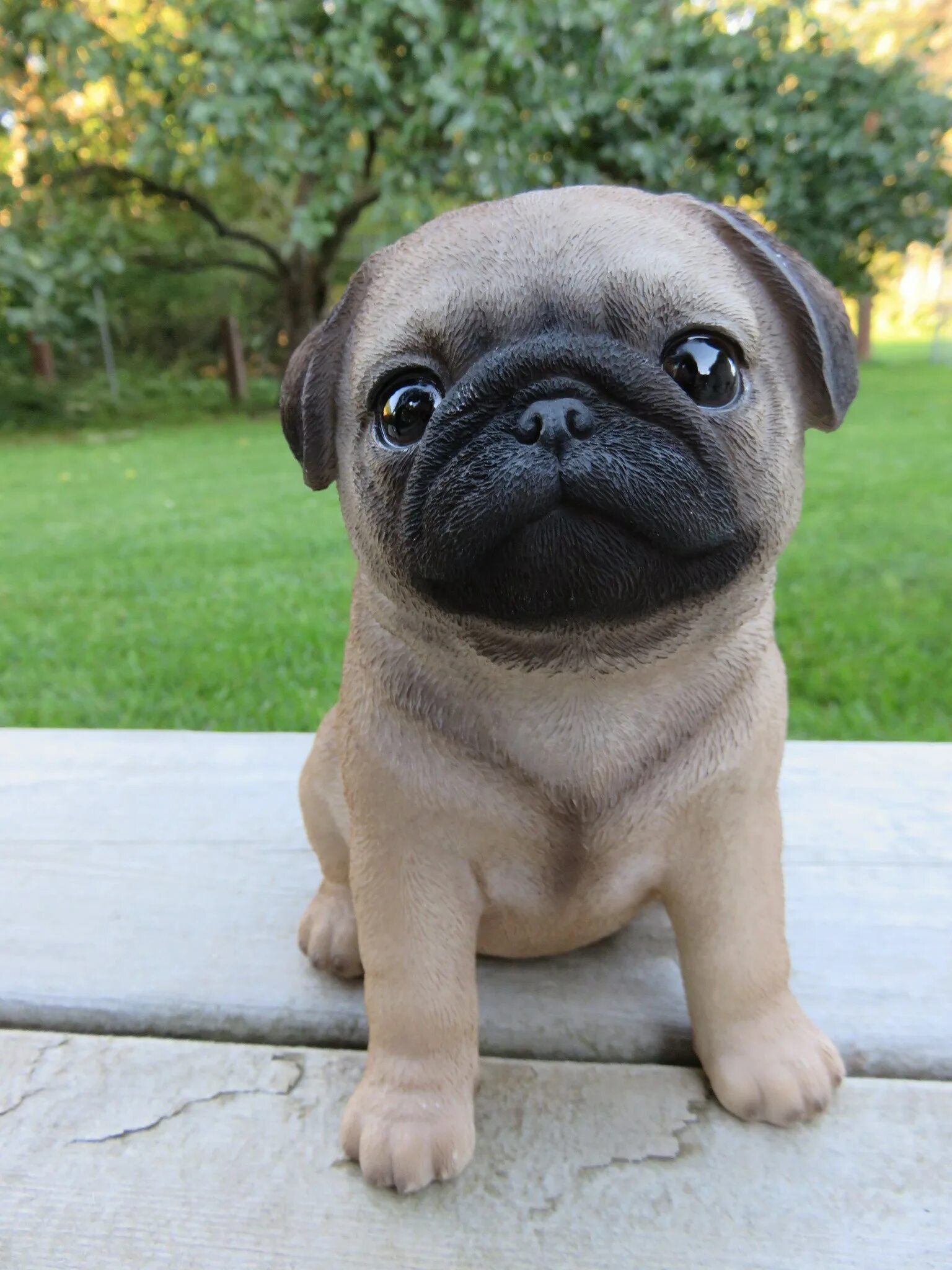 Белый мопс. Карликовый мопс. Собака мопс щенок. Мопс фци. Мопс стоим.