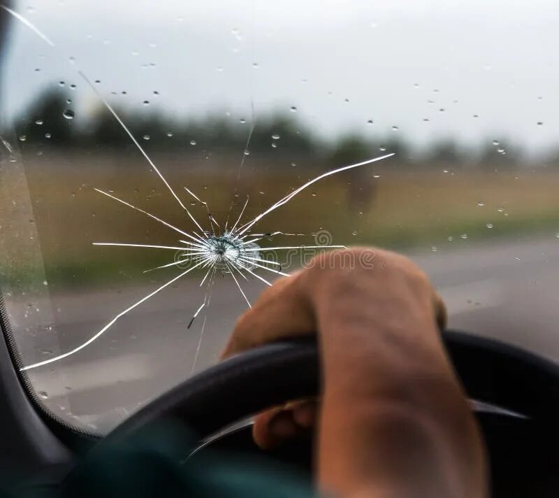 Windscreen