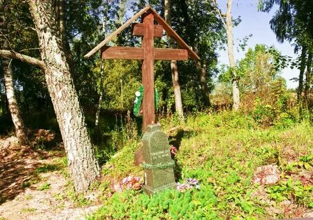 Погода в левкиево шаховская