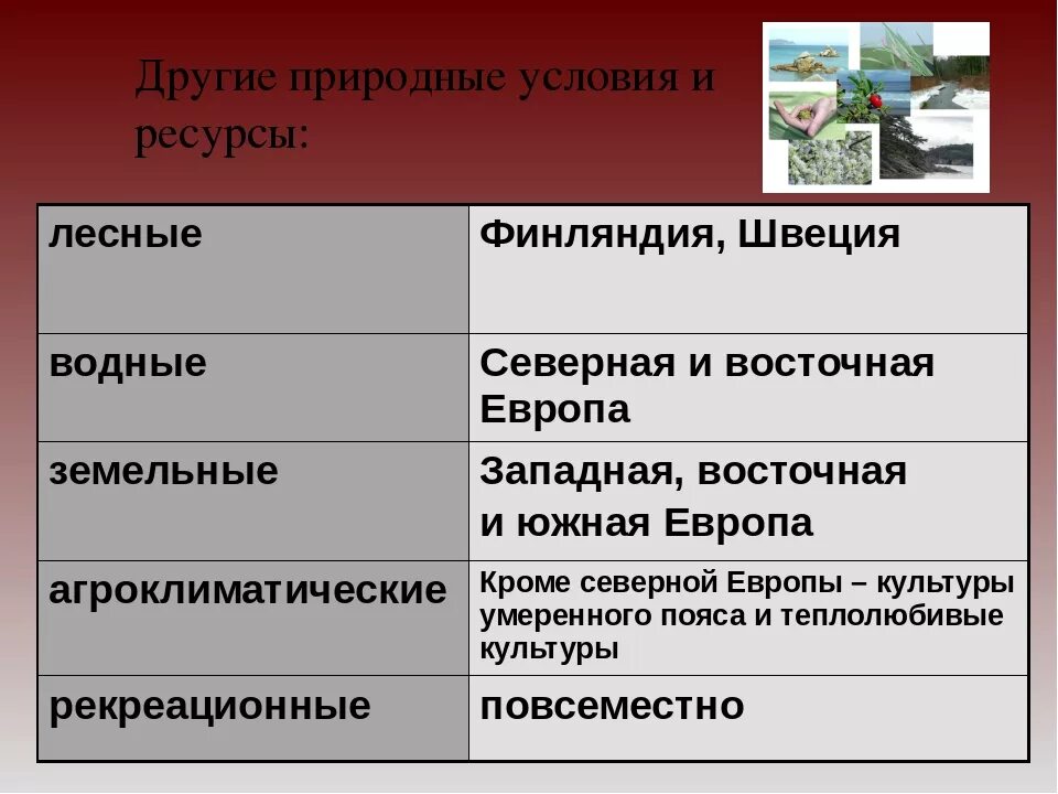Оценка природных условий и ресурсов европы. Оценка природных условий и ресурсов европы