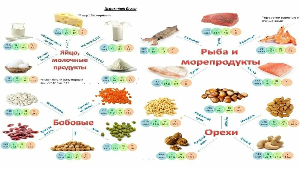 Источники белка в питании таблица. Основные пищевые источники белка. Перечислите продукты, богатые источники полноценного белка.. Продукты содержащие животные белки.