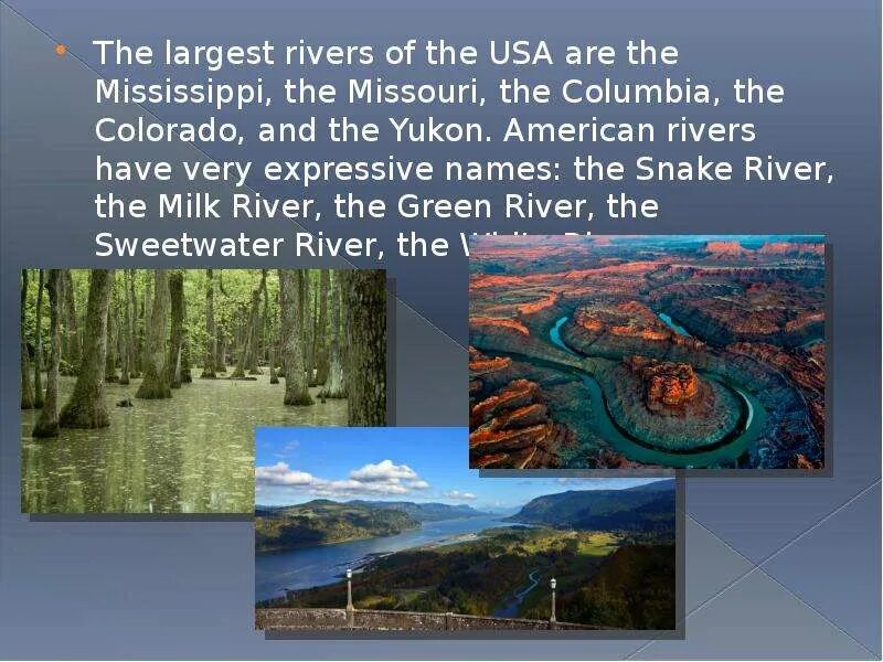 What is the largest state. The largest rivers in the usa аге. usa geographical position. the longest river of the usa. climate and nature of usa презентация.