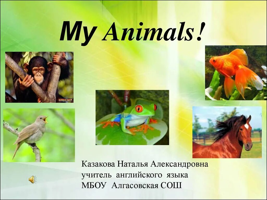 Class animals. Презентация на тему animals. animals 2 класс. презентация my animals. урок в 6 классе на тему animals.