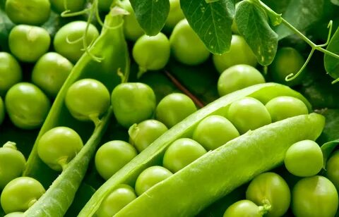 Vegetable pea