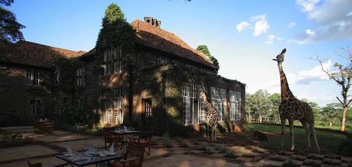 Дом найроби. Жираф манор кения. отель giraffe manor. найроби усадьба жирафов. усадьба жирафов в кении.