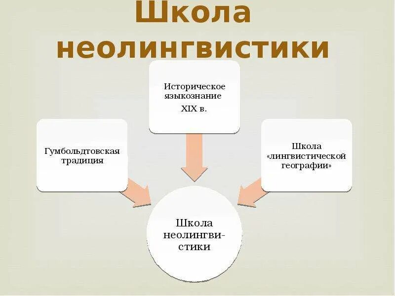 Научно-исследовательская работа по географии на тему: "Полезность чая"
