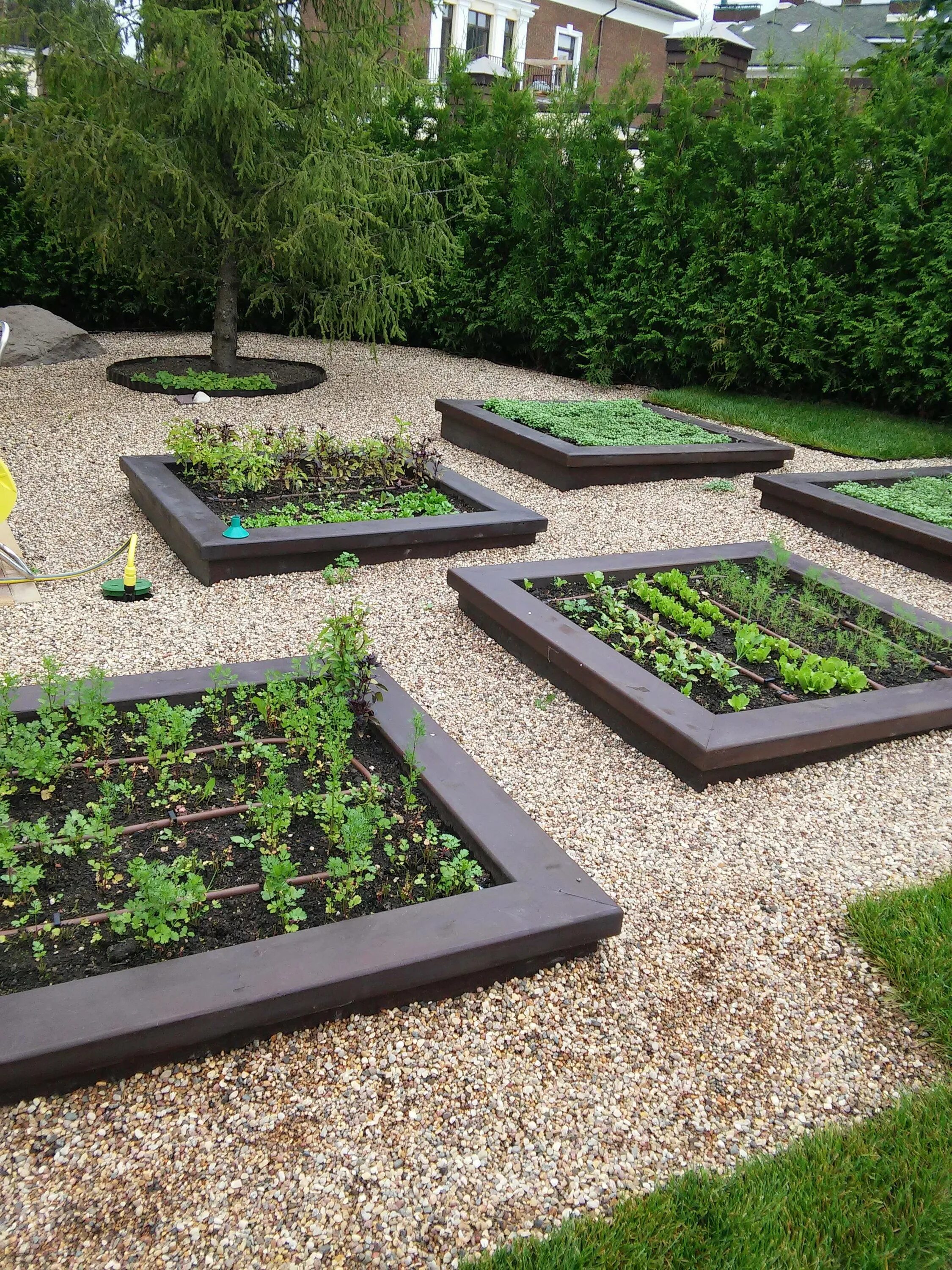 Насыпные грядки. Красивые высокие грядки. Грядки-клумбы мавританский дворик. Красивые грядки. Курдюмовские грядки.