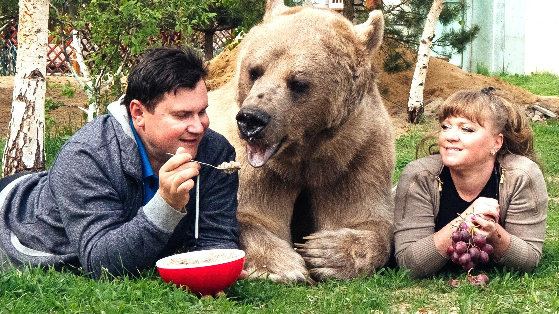 Гризли grizzly (2013). Мальчик и медведь. Медведев гризли. Содержать их очень дорого а рядом медведь. Медведь и человек.