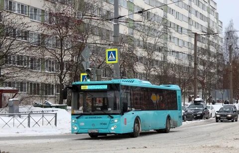 Автобус 38 спб
